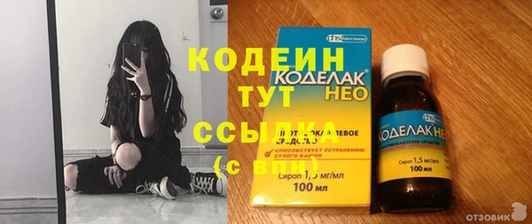 соль ск Каменка