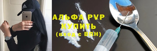 соль ск Каменка