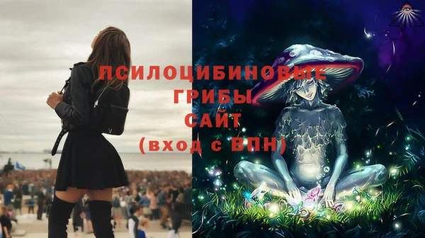 твердый Каменск-Шахтинский