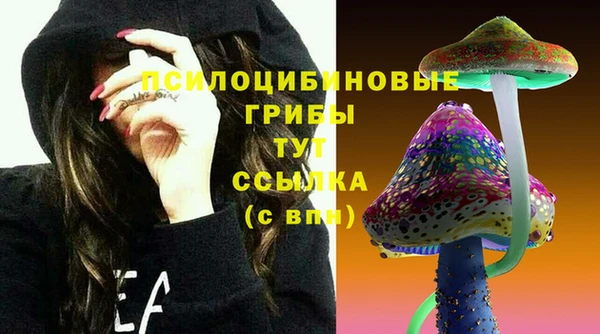 мет Каменногорск
