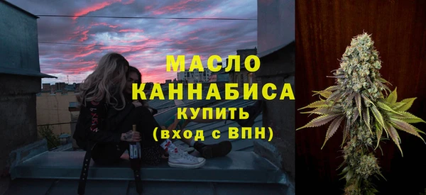 соль ск Каменка