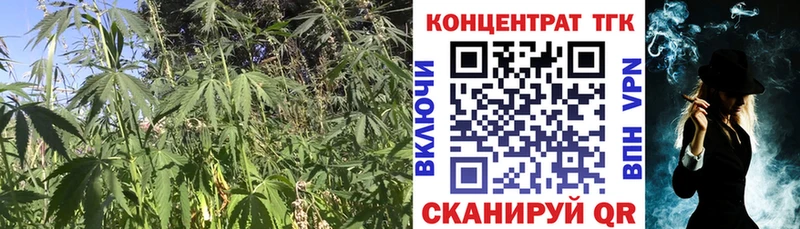 Купить Медвежьегорск ТГК вейп