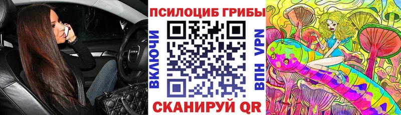 Галлюциногенные грибы прущие грибы  Купить где  Медвежьегорск 